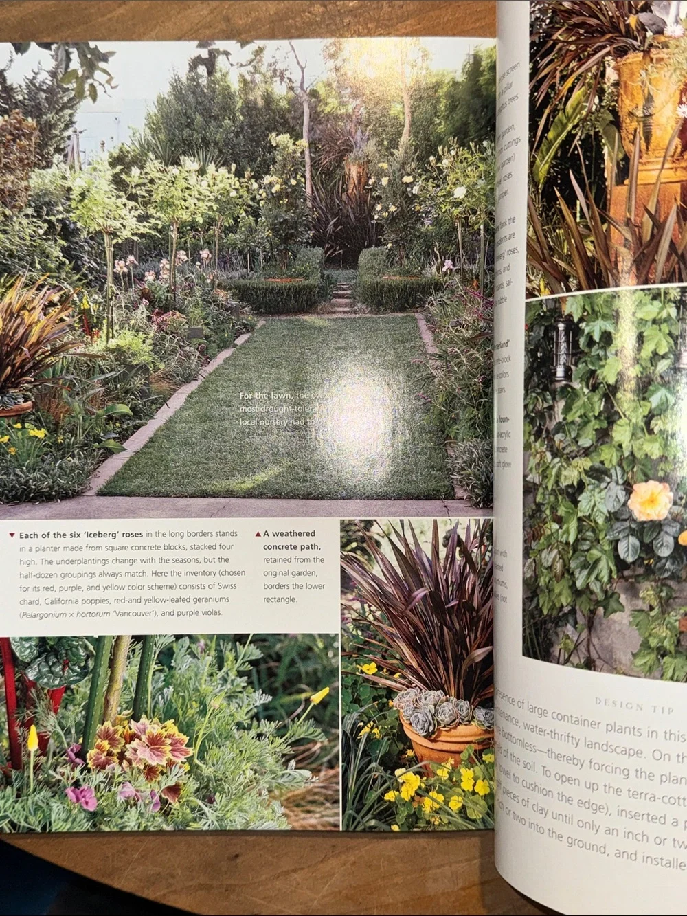 Before & After Garden Makeovers — Sunset magazine softcover Book - Picture 8 of 12
